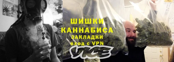 стаф Новозыбков