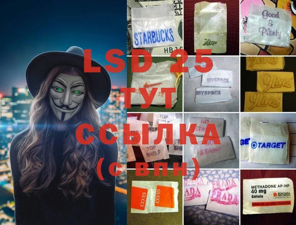 стаф Новозыбков