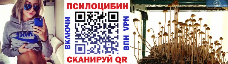 гидра рабочий сайт  Инта  Галлюциногенные грибы MAGIC MUSHROOMS  наркотики 
